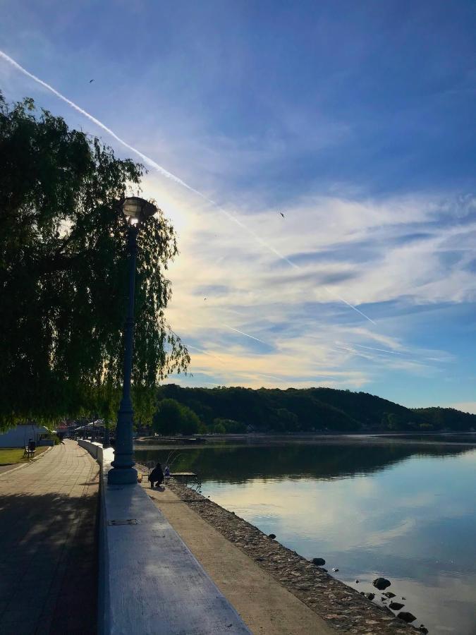 Soba Milojkovic Apartment Golubac Luaran gambar